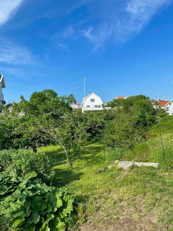 House with grill, yard & terrace | Water view — photo 2