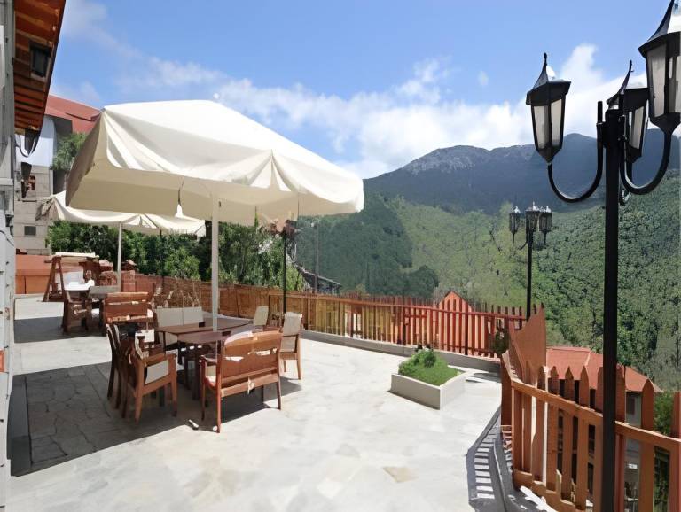 Archontiko Metsovou Luxury Boutique Spa Hotel — photo 5