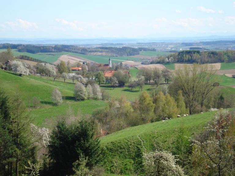 foto15