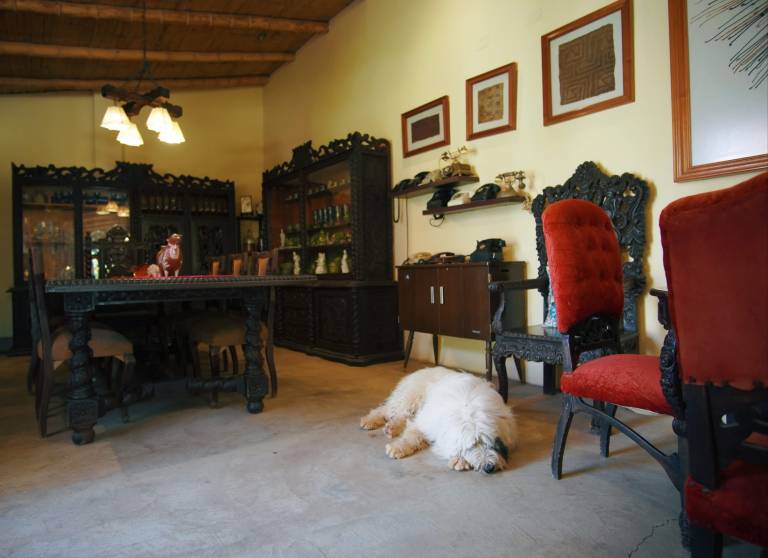 foto7