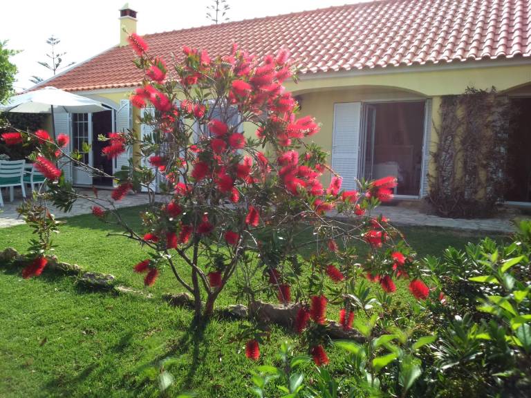 foto6