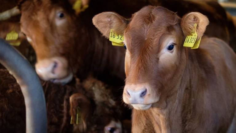 Ferienwohnung Altenbruch