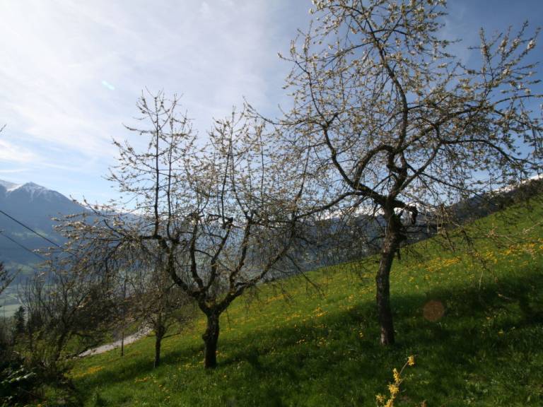foto21