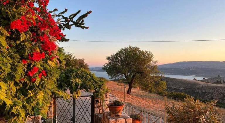 Ample holiday apartment with patio & yard | Pets are welcome in Kefalonia