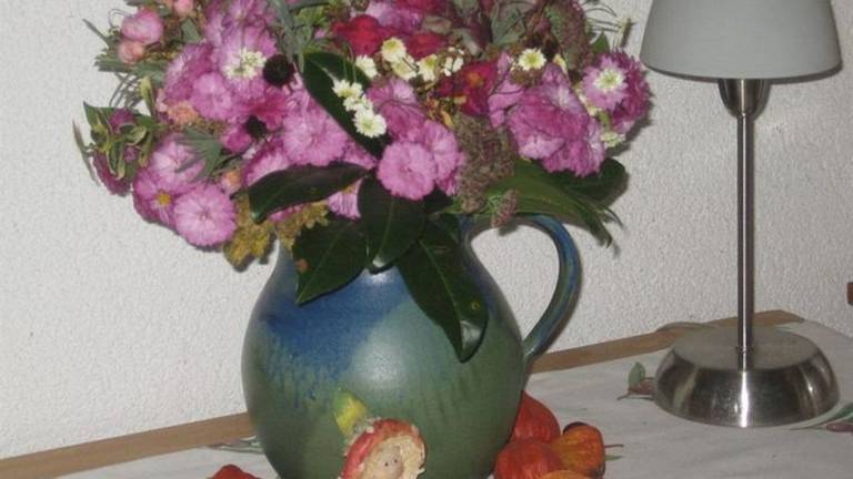 foto3