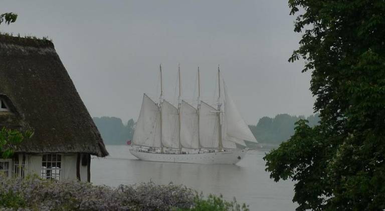 foto29