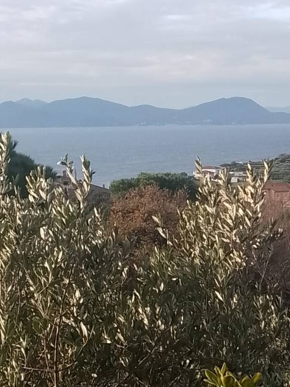 Ferienhaus mit Hund inPiombino, Toskana  f&uuml;r max. 7 Personen