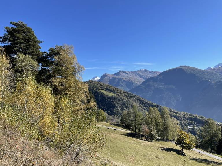 foto22