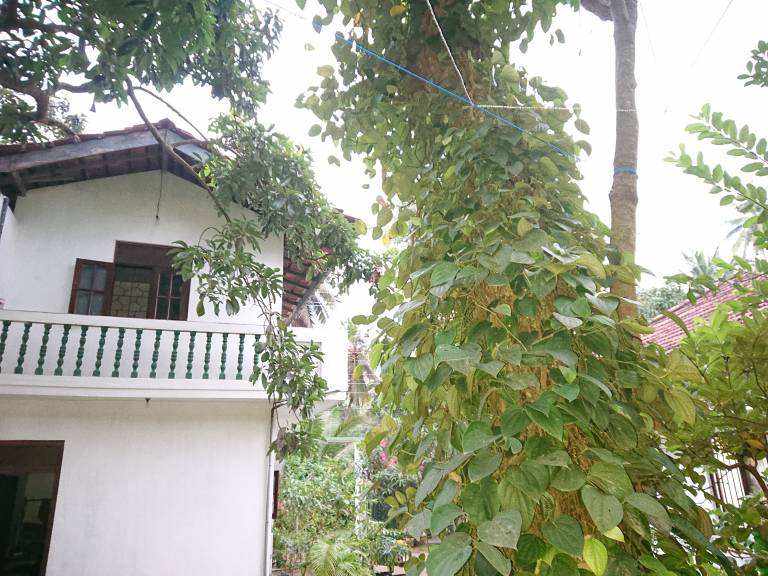 foto13