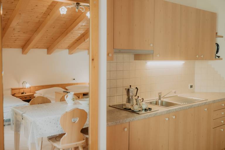 Studio 'Gogererhof App Maria' with Mountain View, Balcony & Wi-Fi — photo 2