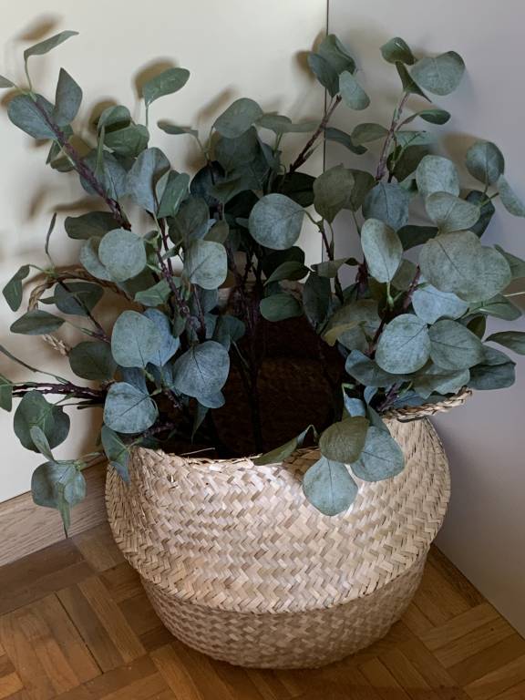 foto15