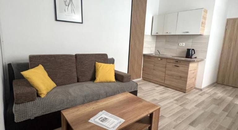 Charming rental apartment | Close to Hlavné námestie | Pets are welcome in Bratislava