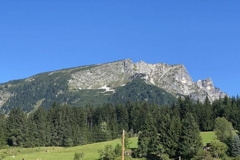 foto6