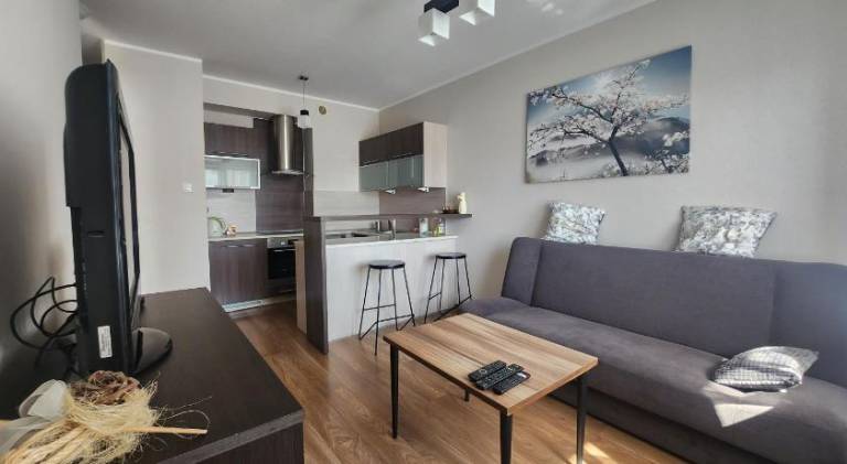 Apartment with 1 room for 3 persons — photo 2