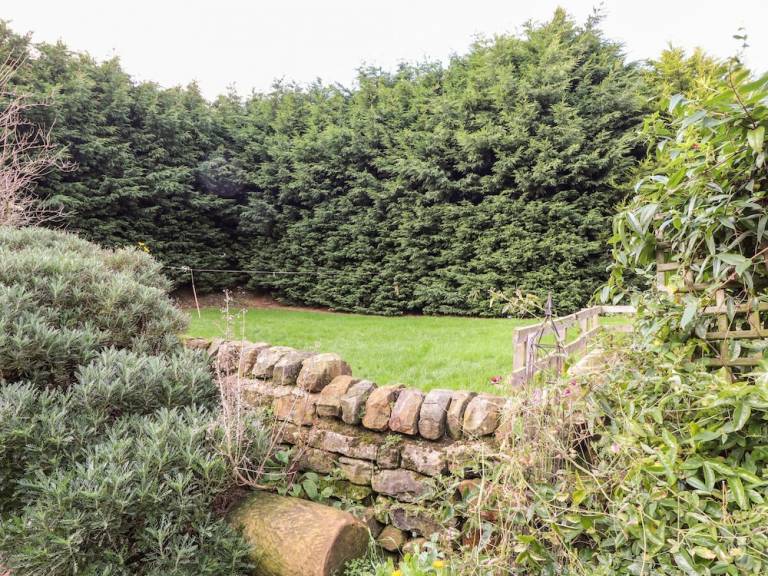 Cottage Sandsend