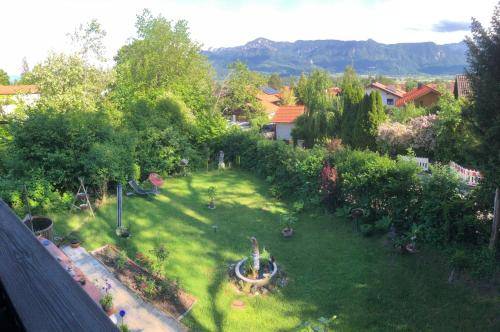 foto6