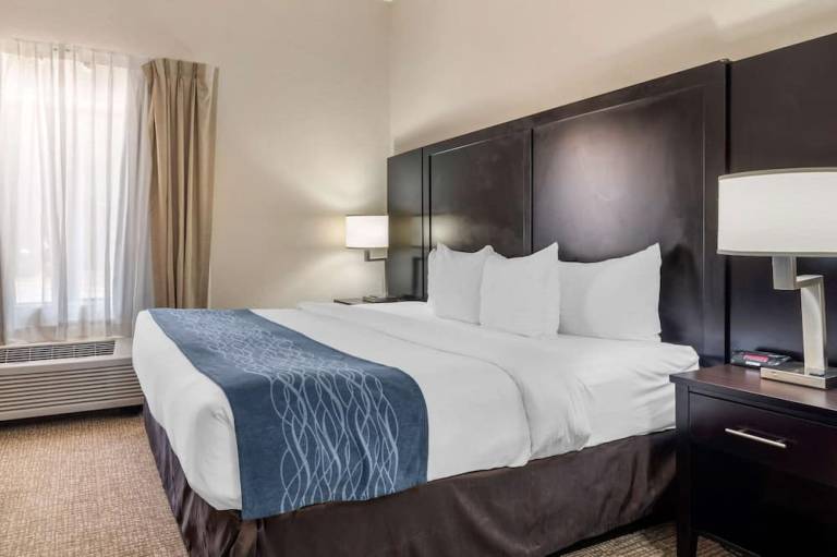 Comfort Inn & Suites Atlanta Smyrna