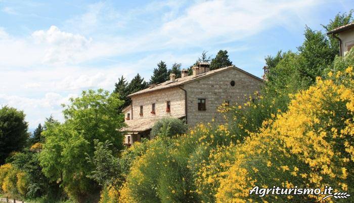Private room Fermignano