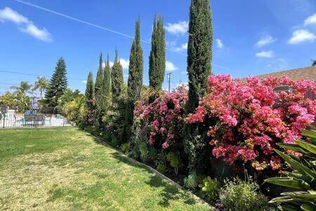 foto40