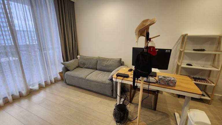 Cozy and Modern 1 Bedroom in Hurstville