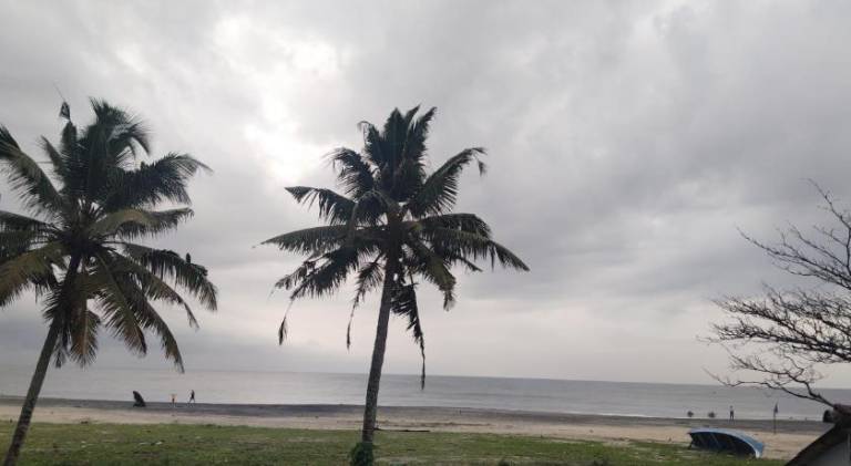 Beach Veedu Home stay near munnodi temple Alleppey Kerala — photo 4