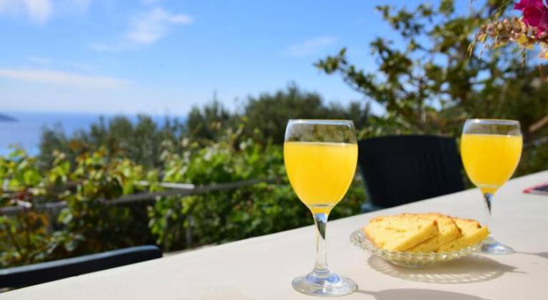 Lovely house with garden | Pets allowed in Kefalonia