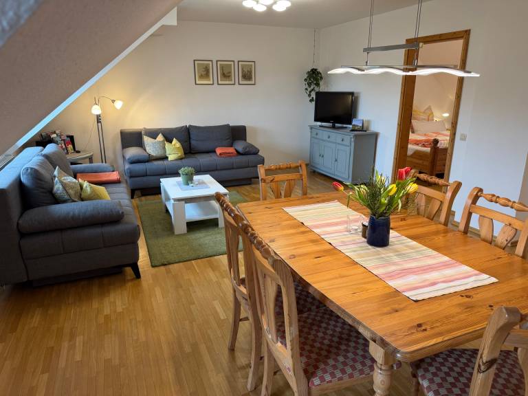 Family-oriented charming rental apartment with BBQ, terrace & fast internet | Garden view | Pets allowed in Tuebingen