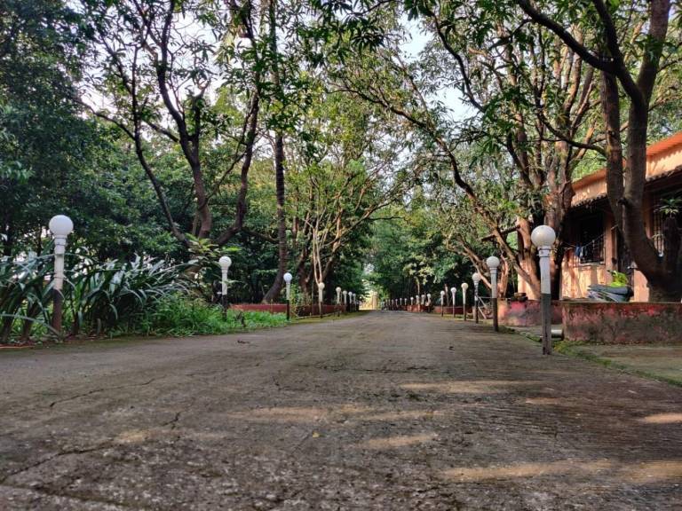 foto17
