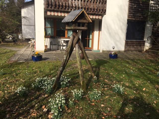 foto22