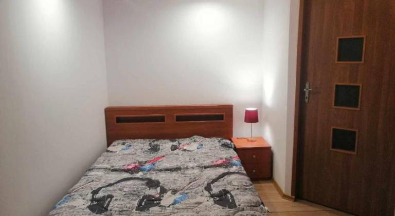 Serviced apartment | Pets are welcome — photo 2