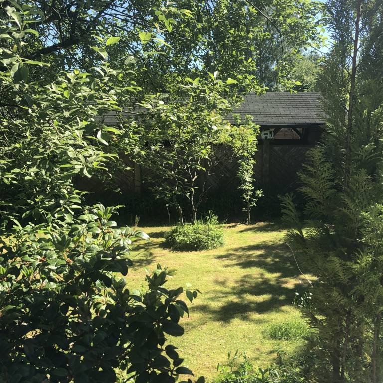 foto11