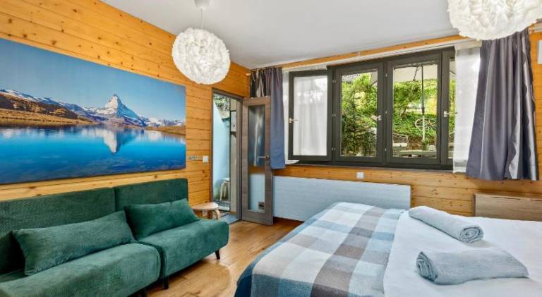 Studio Apartment in Swiss Chalet - Garden views of Mont Blanc in Nyon