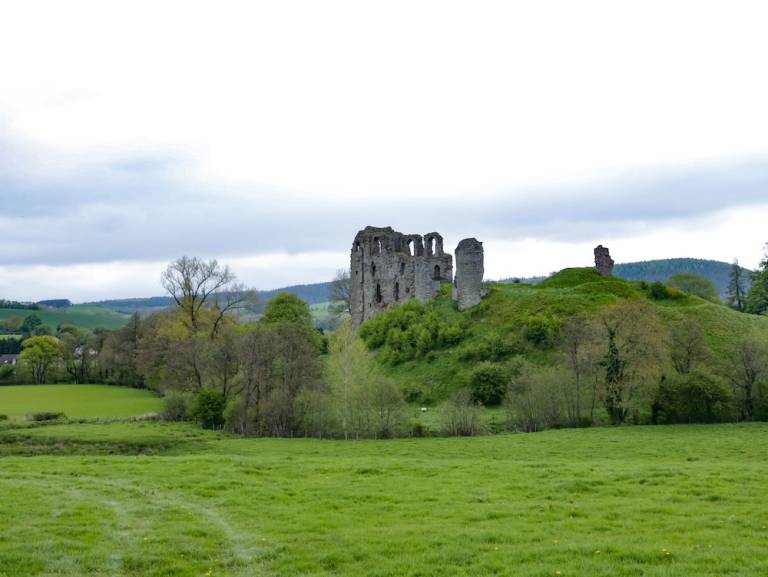 Cottage Bishop's Castle