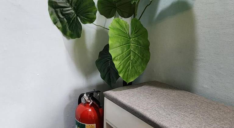 foto11