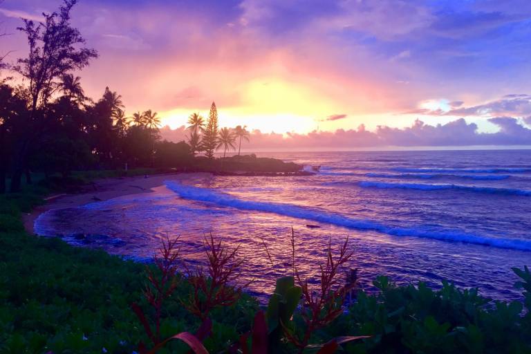 Condo Lihue