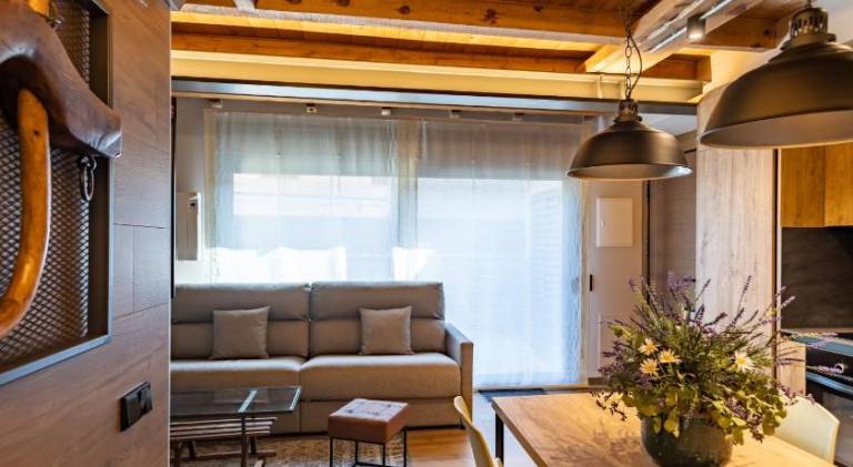 Serviced apartment with terrace | Pets are welcome — photo 4