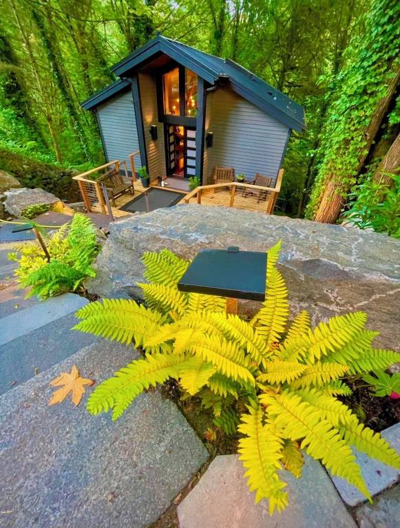 House Issaquah