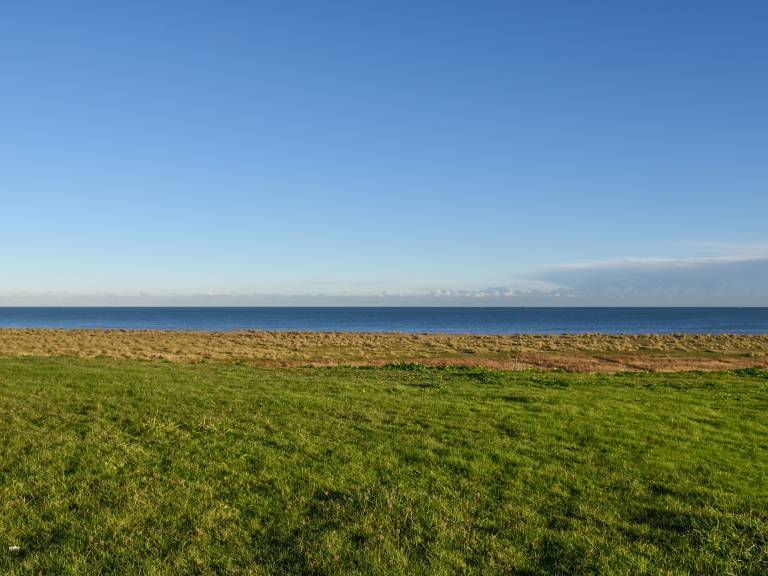 foto1