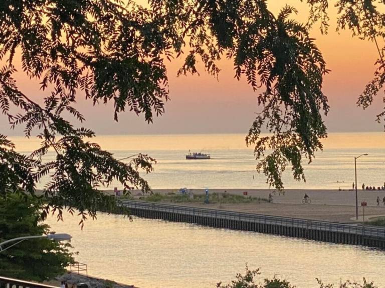House South Haven