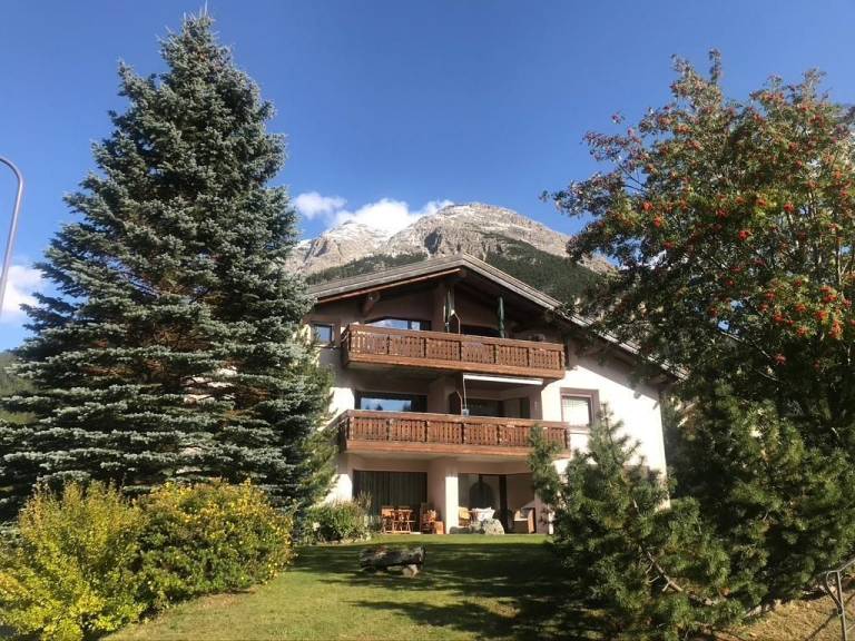 foto1