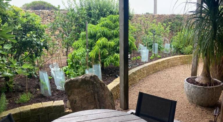 foto11