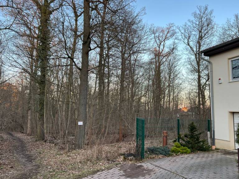 foto21