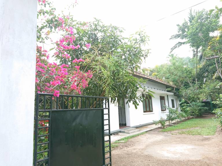 foto7