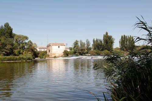 Pleasant vacation home | Dogs allowed — photo 4