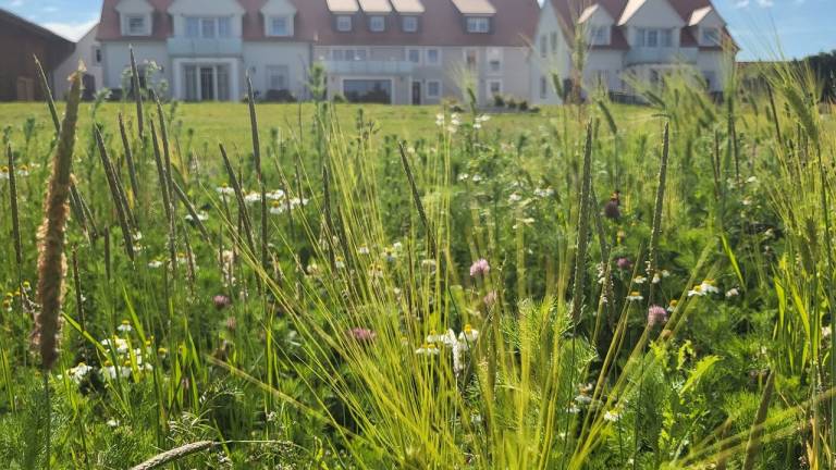 Ferienhaus Feuchtwangen