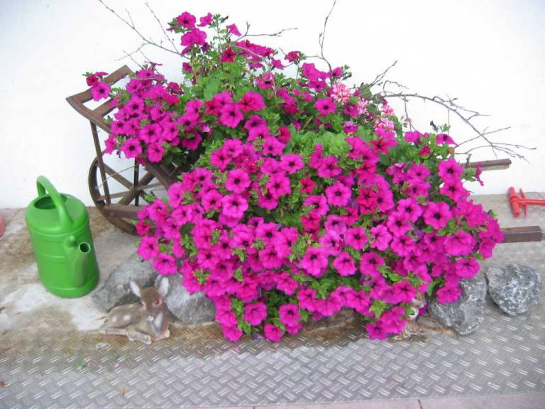foto13