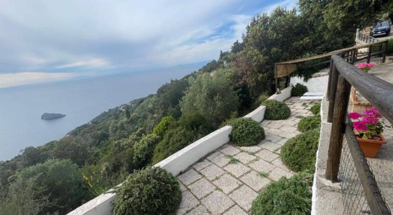 Villa | Pets allowed — photo 5