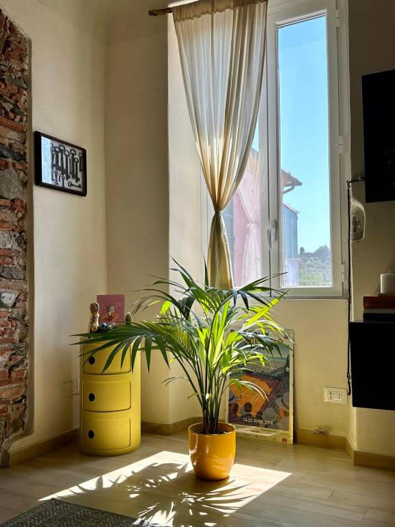 foto7