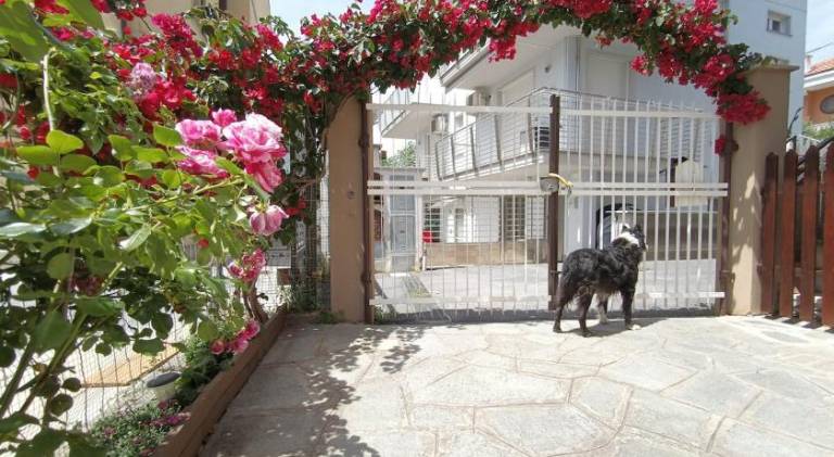 Holiday apartment | Dogs allowed in Loano