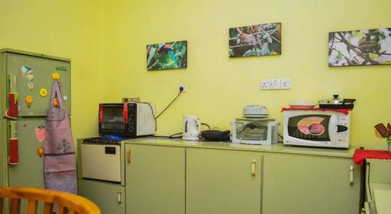 foto7